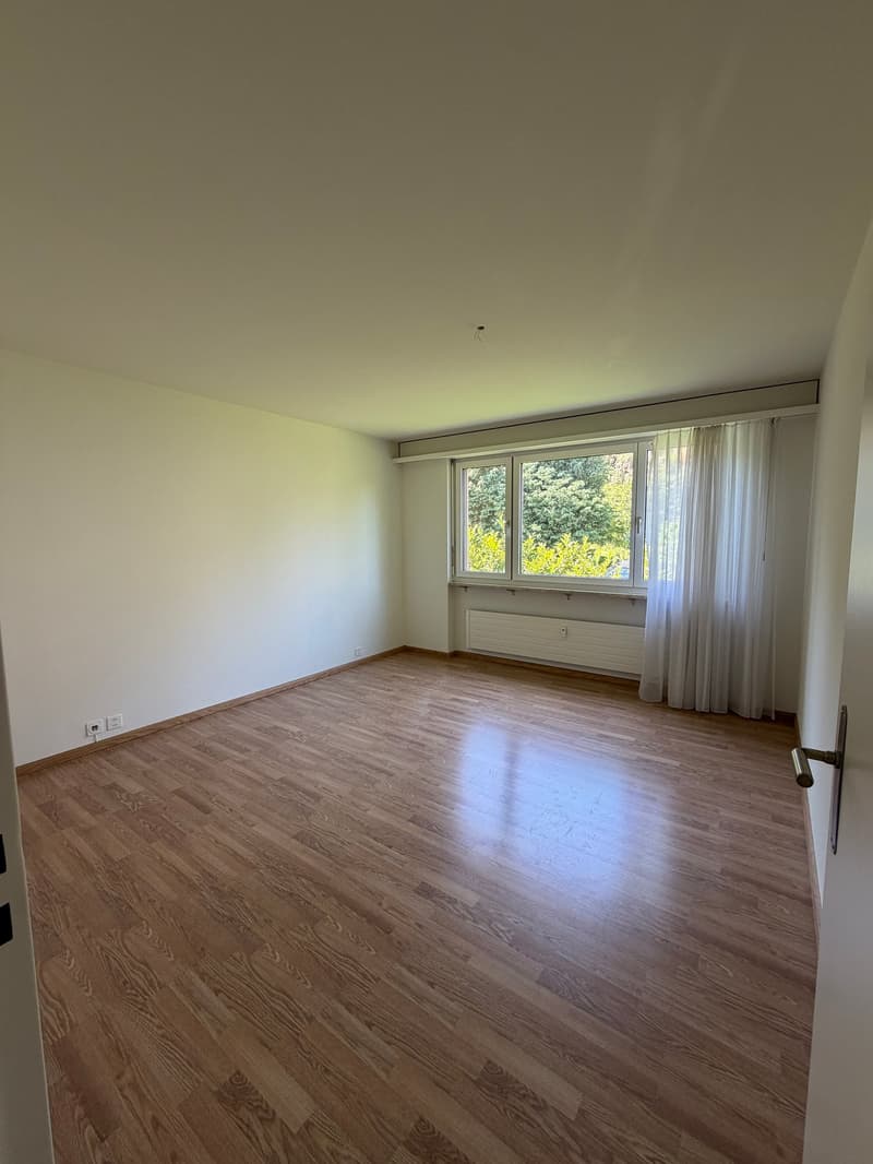 Grosszügige 7.5-Zimmer-Attika-Maisonette-Wohnung mit Balkon und 3 Garagenplätzen (11)