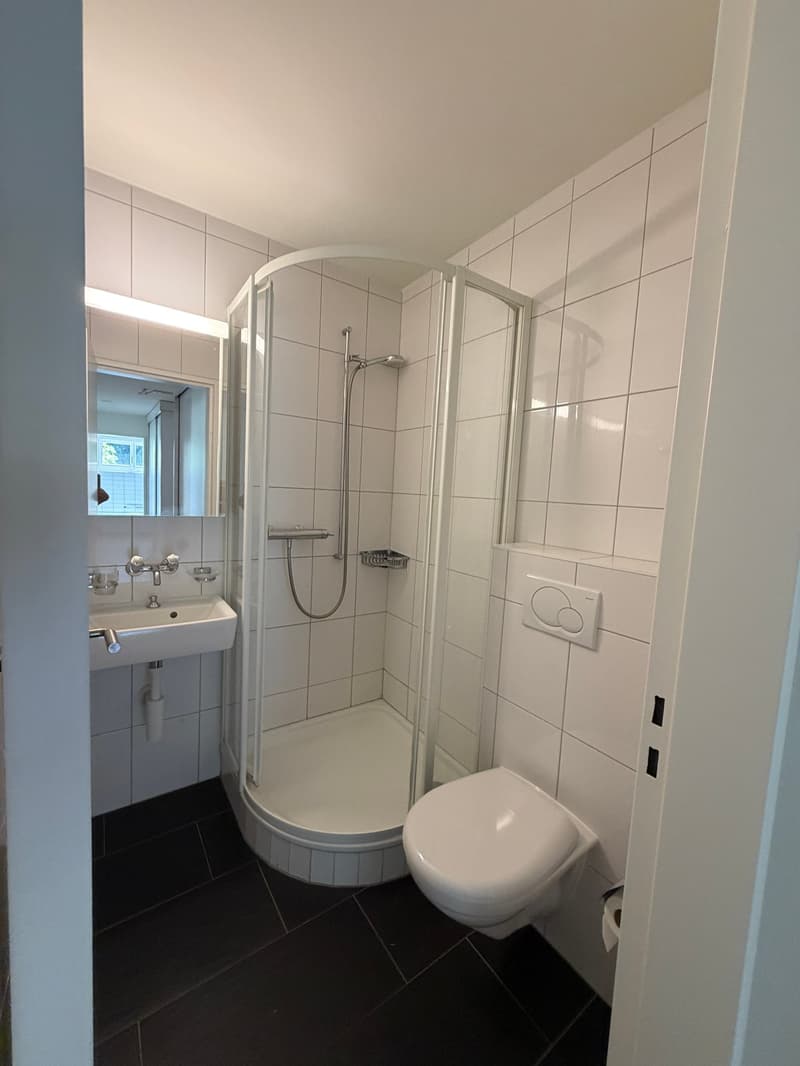 Grosszügige 7.5-Zimmer-Attika-Maisonette-Wohnung mit Balkon und 3 Garagenplätzen (6)