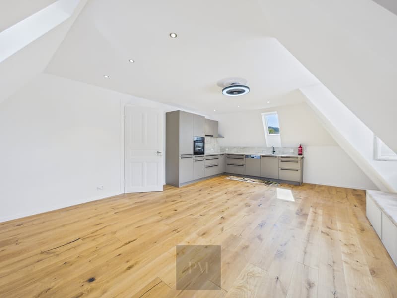 Charmante 5,5 Zimmer Maisonette (1)