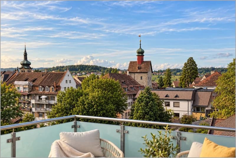 Rustikale Dachwohnung mit Terrasse und Blick über die Dächer der Altstadt (1)
