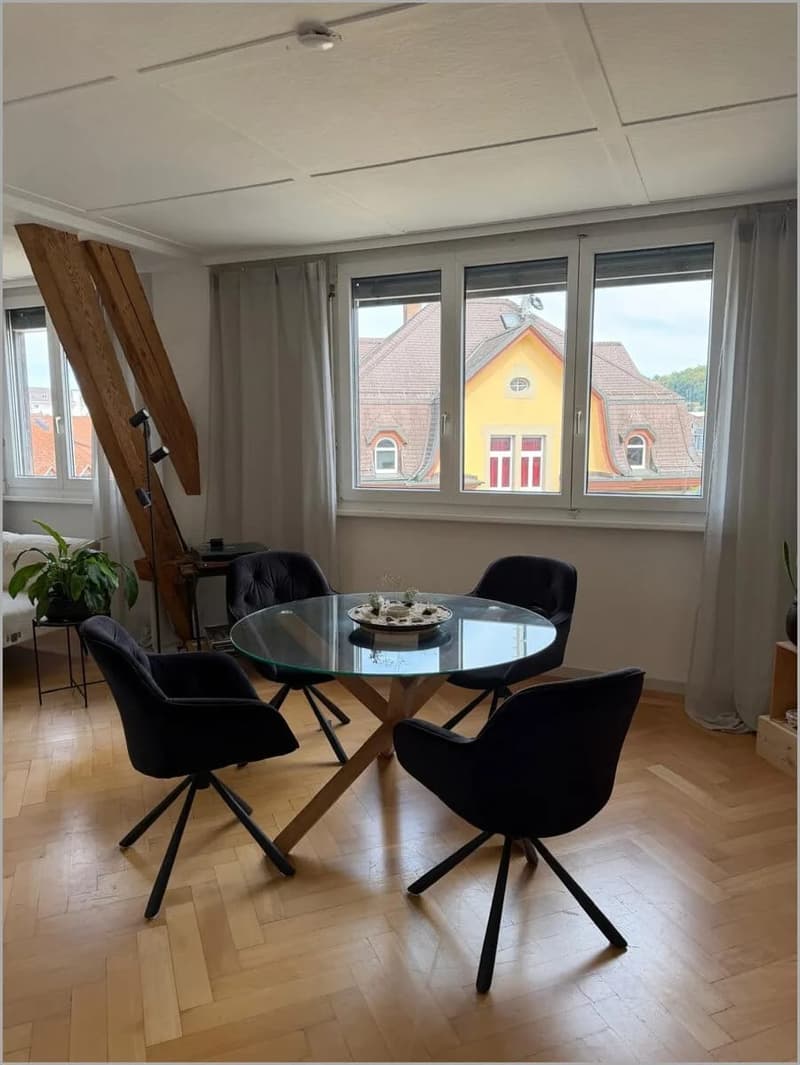 Rustikale Dachwohnung mit Terrasse und Blick über die Dächer der Altstadt (10)