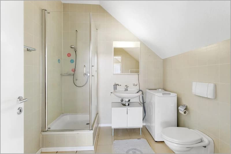 Grosszügige 4.5-Zimmer-Maisonette-Dachwohnung (12)