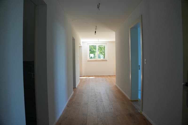 Grosszügige 4½-Zimmer-Gartenwohnung mit privatem Garten in Pfäffikon ZH (8)