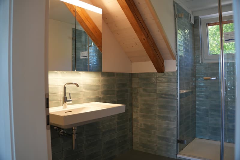 Aussergewöhnliche 3½-Zimmer-Dachwohnung mit Holzbalken und Panoramablick (10)