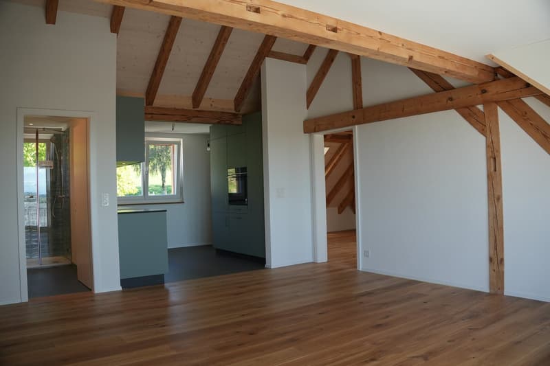 Aussergewöhnliche 3½-Zimmer-Dachwohnung mit Holzbalken und Panoramablick (4)