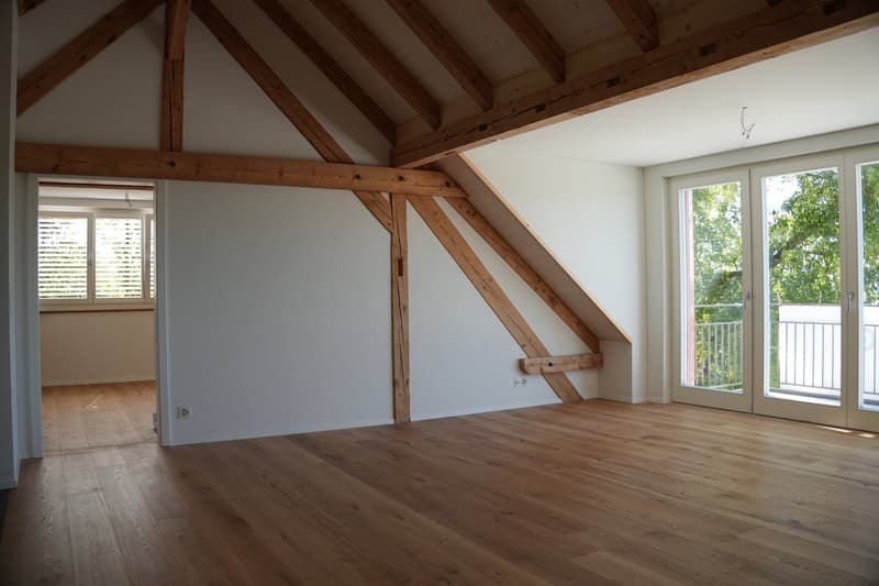Aussergewöhnliche 3½-Zimmer-Dachwohnung mit Holzbalken und Panoramablick (5)