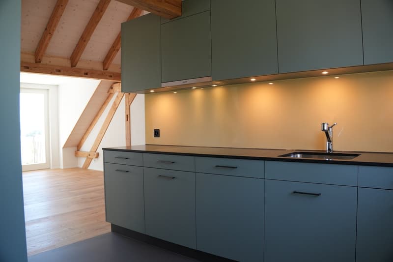 Aussergewöhnliche 3½-Zimmer-Dachwohnung mit Holzbalken und Panoramablick (3)