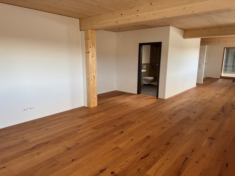 schöne 3.5-Zimmer Attikawohnung mit Sommerkühlung zu vermieten (4)