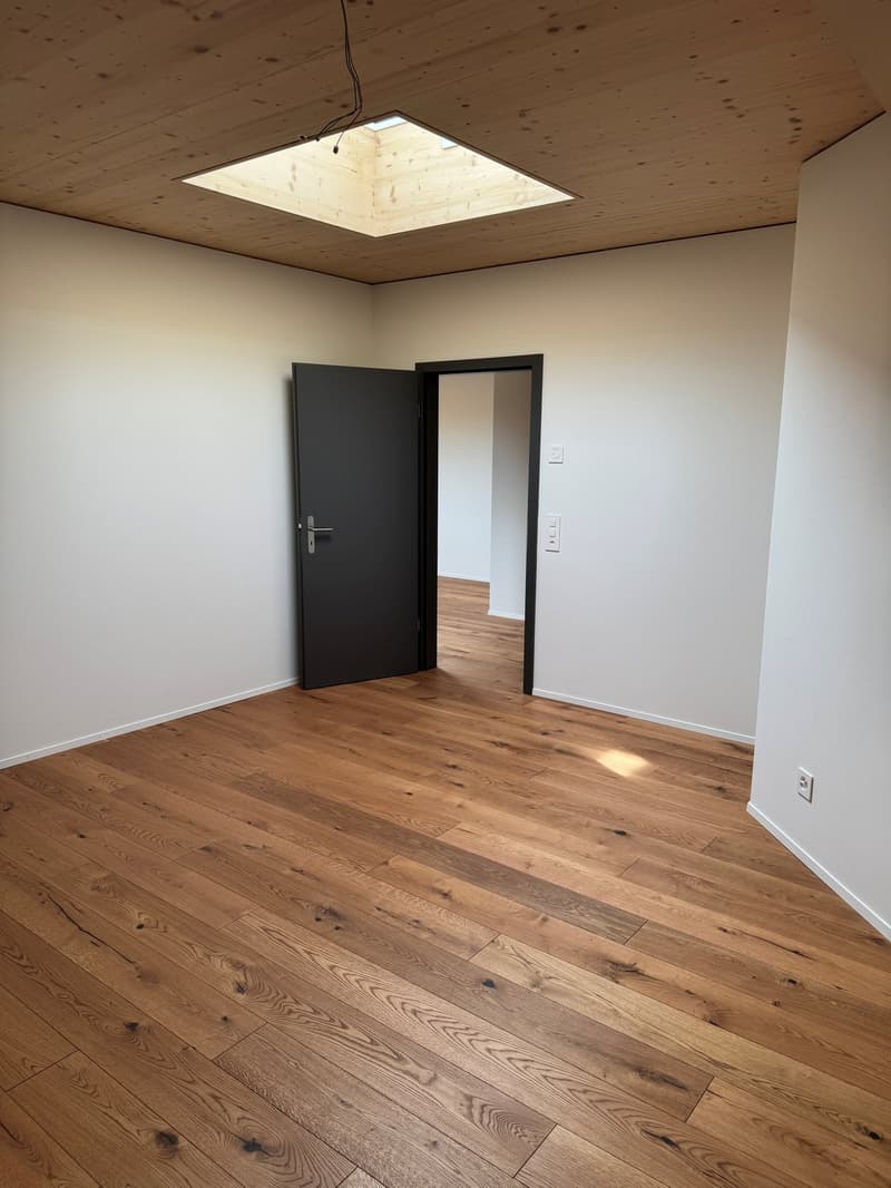3.5-Zimmer Attikawohnung mit Sommerkühlung zu vermieten (3)