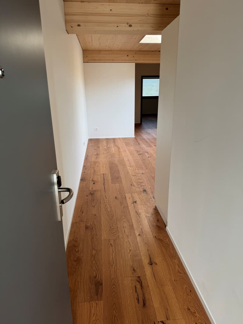 3.5-Zimmer Attikawohnung mit Sommerkühlung zu vermieten (10)