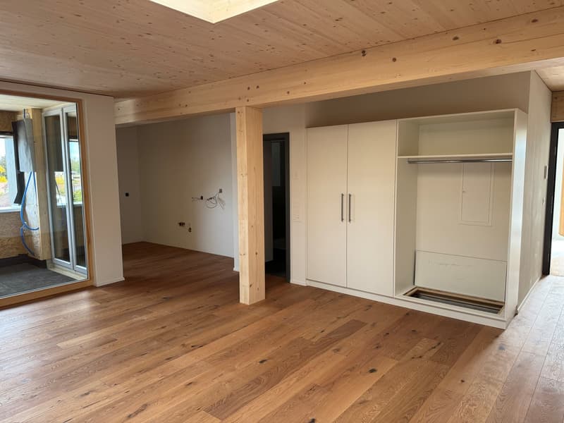 3.5-Zimmer Attikawohnung mit Sommerkühlung zu vermieten (1)