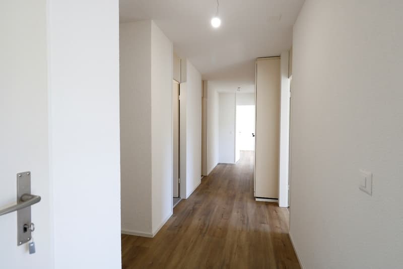 Helle, stilvolle und komplett renovierte 4.5 Zimmer-Wohnung (6)