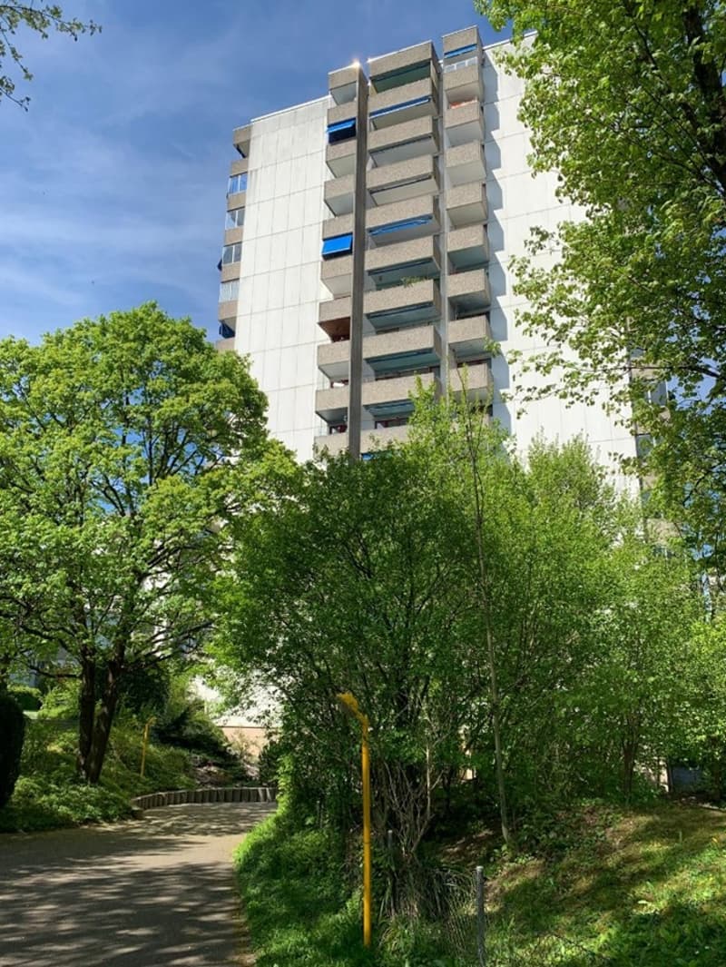 Helle, stilvolle und komplett renovierte 4.5 Zimmer-Wohnung (1)