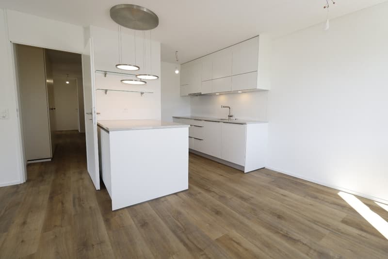 Helle, stilvolle und komplett renovierte 4.5 Zimmer-Wohnung (2)