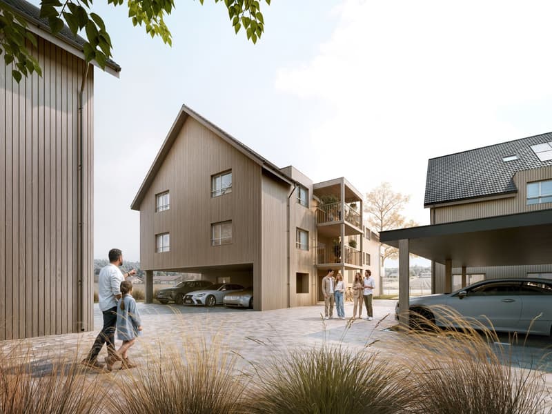 Neubau: 6.5-Zimmer-Duplexwohnungen mit Aussicht (3)