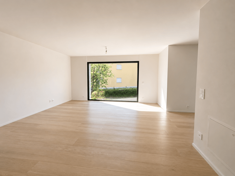 Appartamento da 4.5 locali con giardino (3)