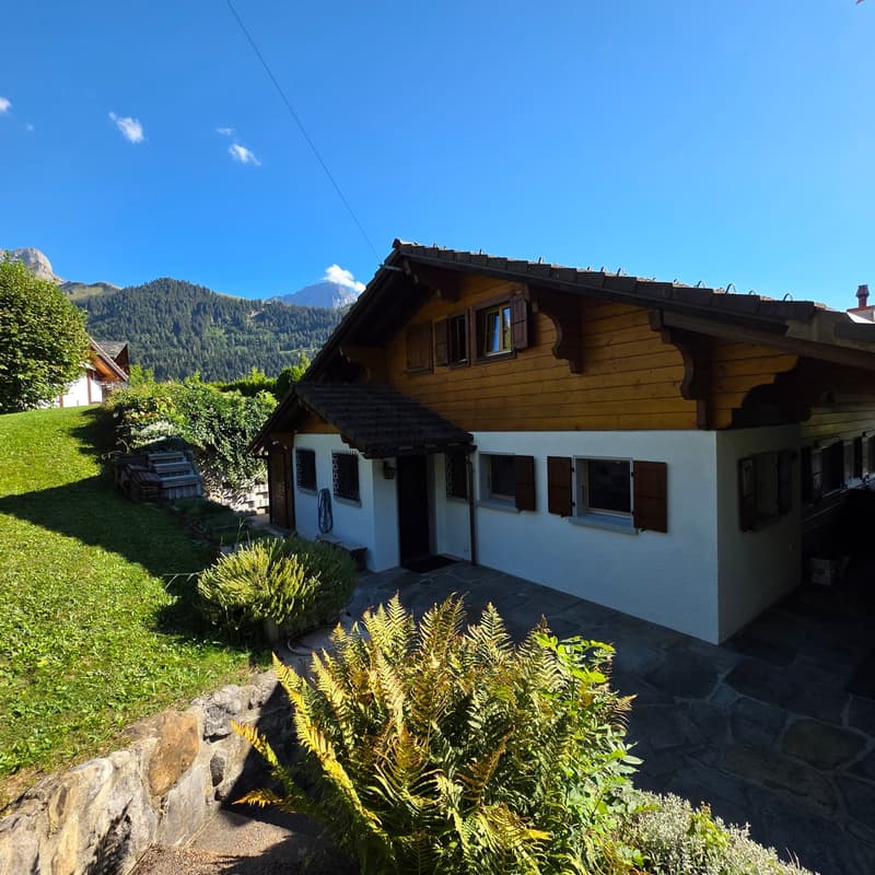 Magnifique Chalet totalement rénové à Barboleusaz / Villars-sur-Ollon-Gryon (4)
