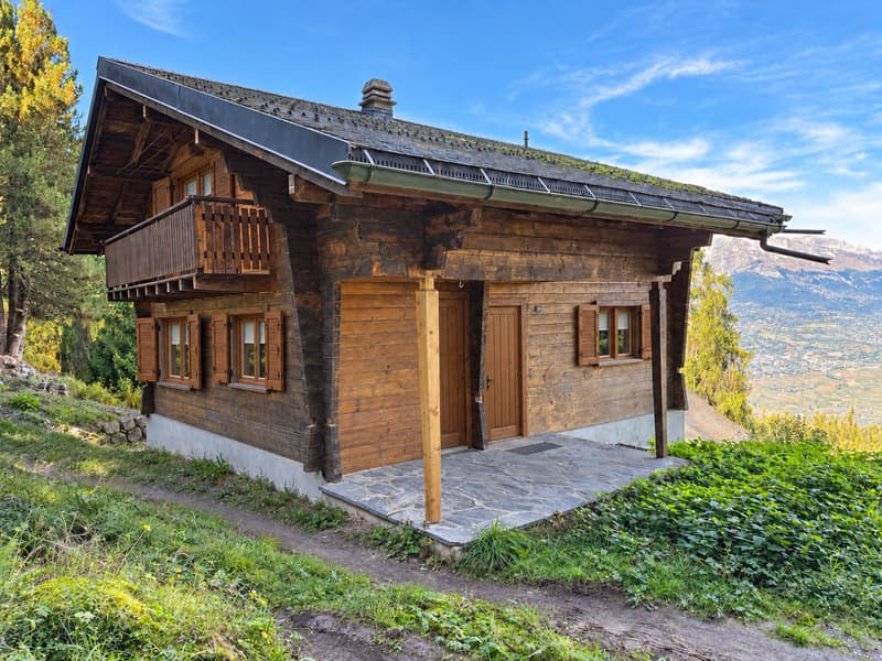 Chalet de 5.5 pièces aux Mayens-de-Sion (1)