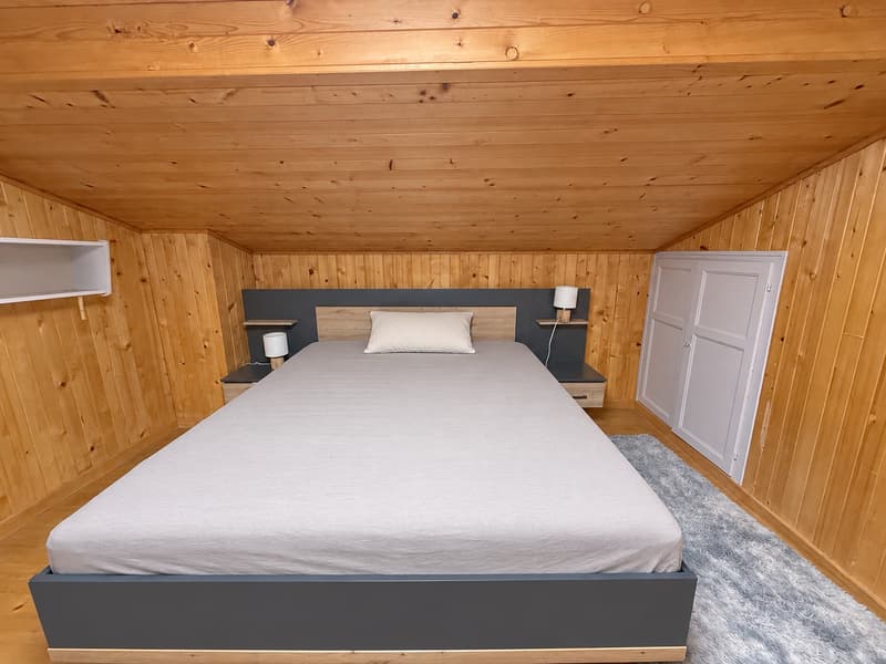 Chalet de 5.5 pièces aux Mayens-de-Sion (18)