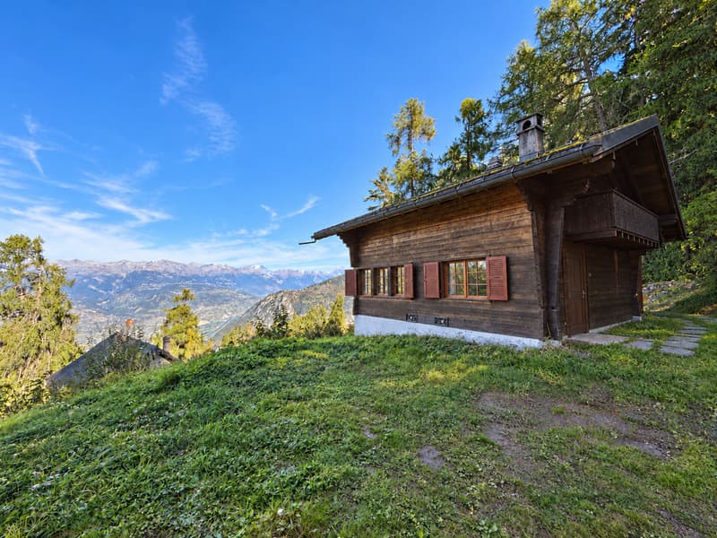 Chalet de 5.5 pièces aux Mayens-de-Sion (4)