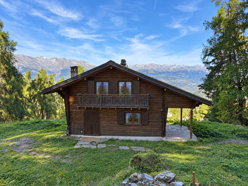 Chalet de 5.5 pièces aux Mayens-de-Sion (2)