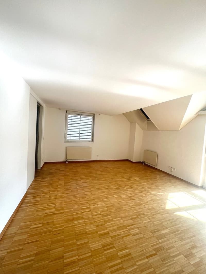 Grosszügige 4.5 Zimmerwohnung an ruhiger Lage und toller Aussicht (4)