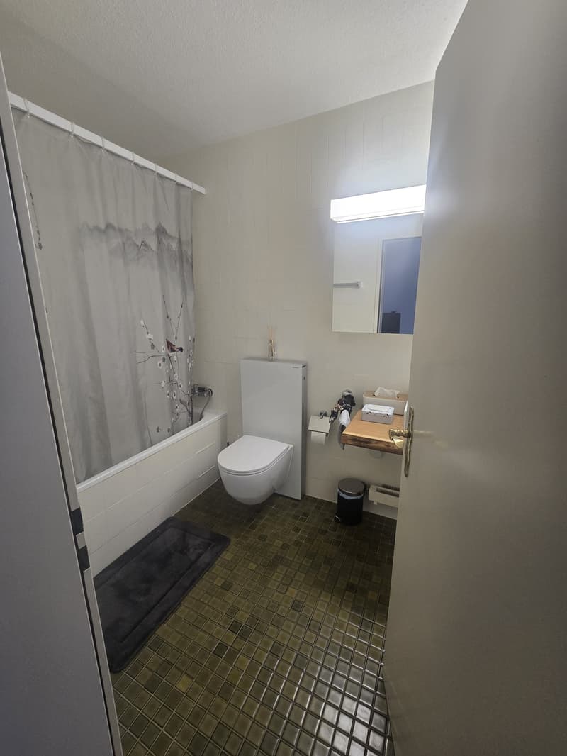 Wohnen mit viel Platz und Komfort in Riehen (11)