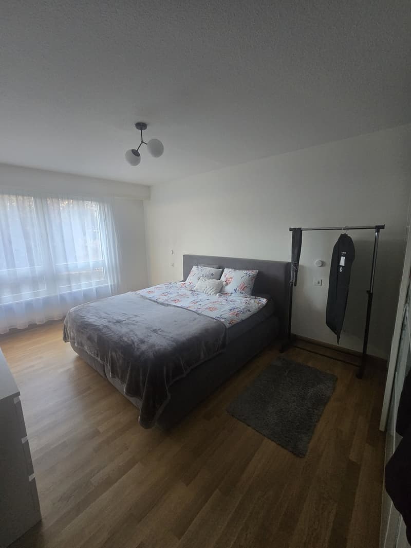 Wohnen mit viel Platz und Komfort in Riehen (8)