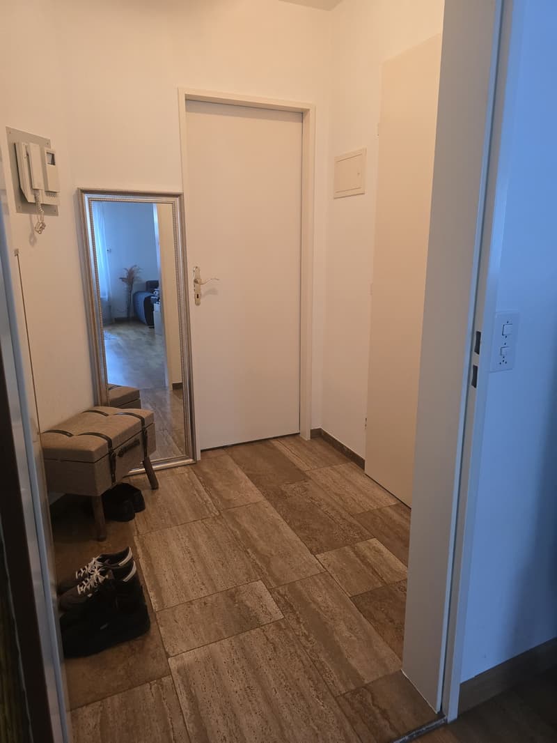 Wohnen mit viel Platz und Komfort in Riehen (12)