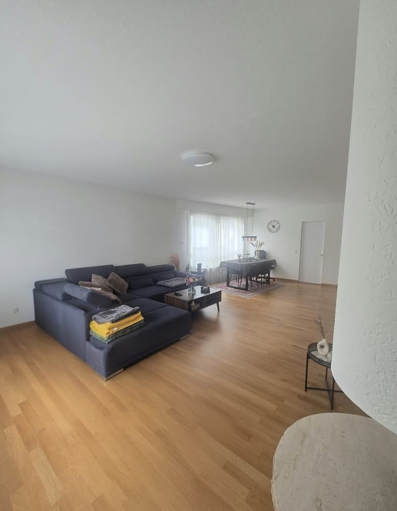 Wohnen mit viel Platz und Komfort in Riehen (2)