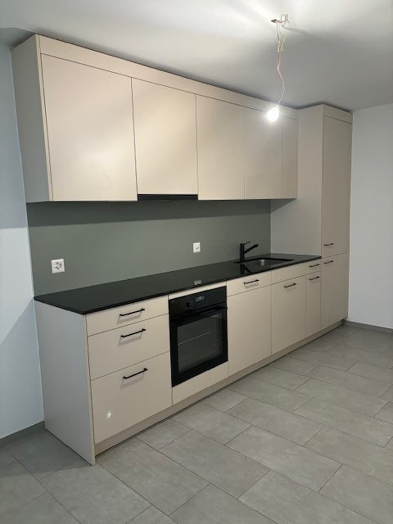 2 Zimmer-Wohnung, 4112 Flüh (2)