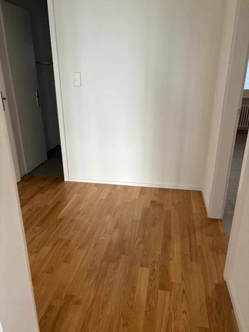 2 Zimmer-Wohnung, 4112 Flüh (5)