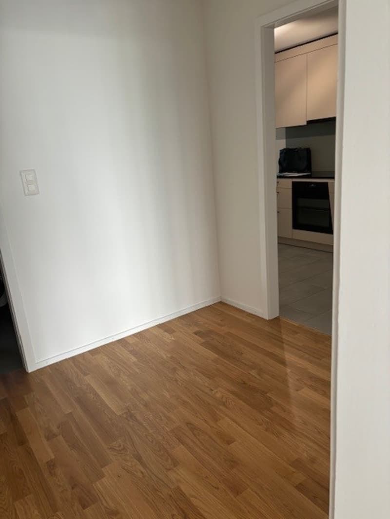 2 Zimmer-Wohnung, 4112 Flüh (6)