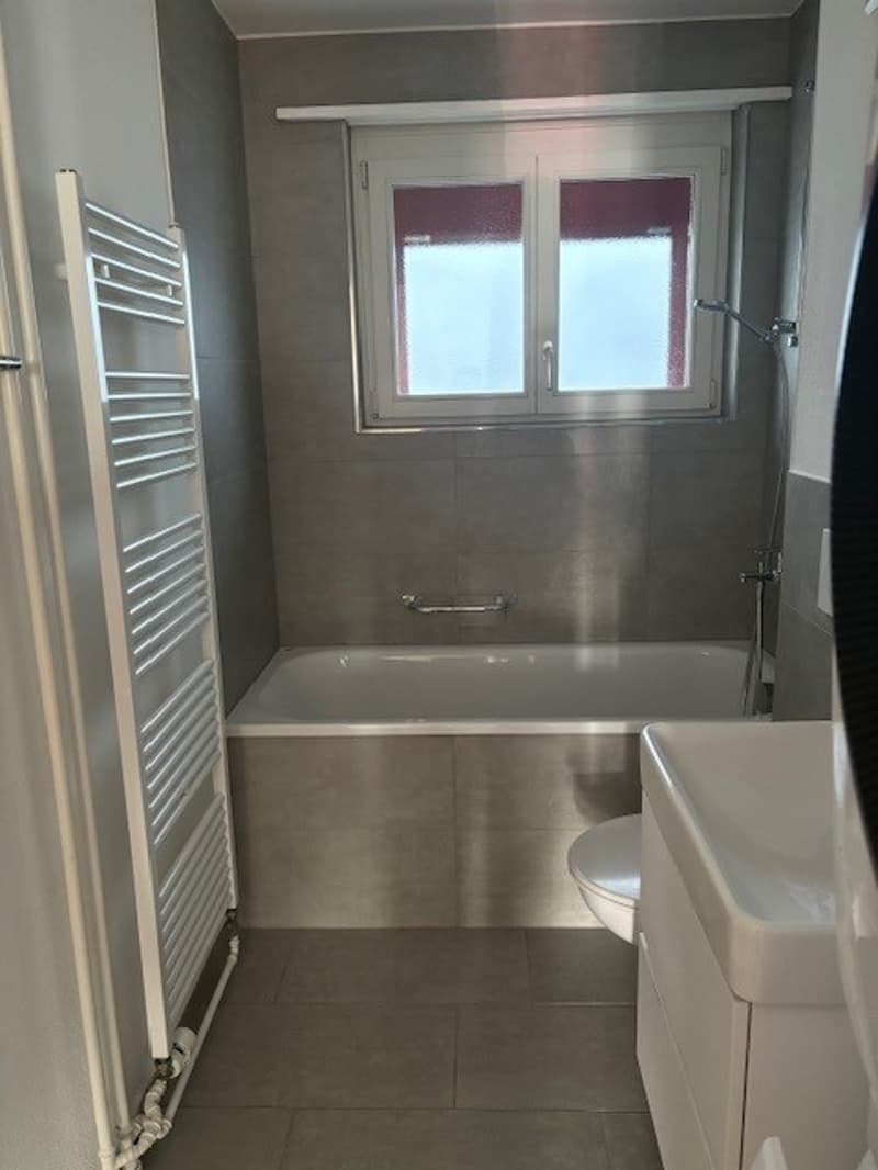 2 Zimmer-Wohnung, 4112 Flüh (13)
