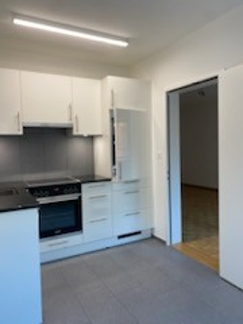 Moderne, helle 3,5-Zimmerwohnung (4)