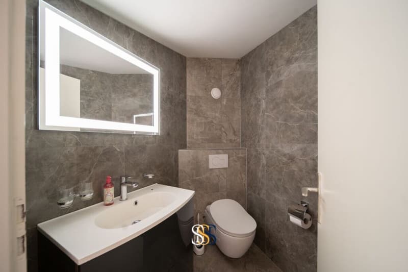 Exklusive Maisonettewohnung mit Dachloge und Spa-Bereich (15)