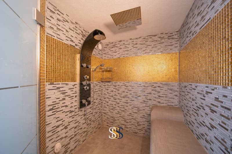 Exklusive Maisonettewohnung mit Dachloge und Spa-Bereich (17)
