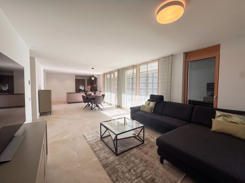 Comfort e modernità in un elegante 3.5 locali - Minusio (2)