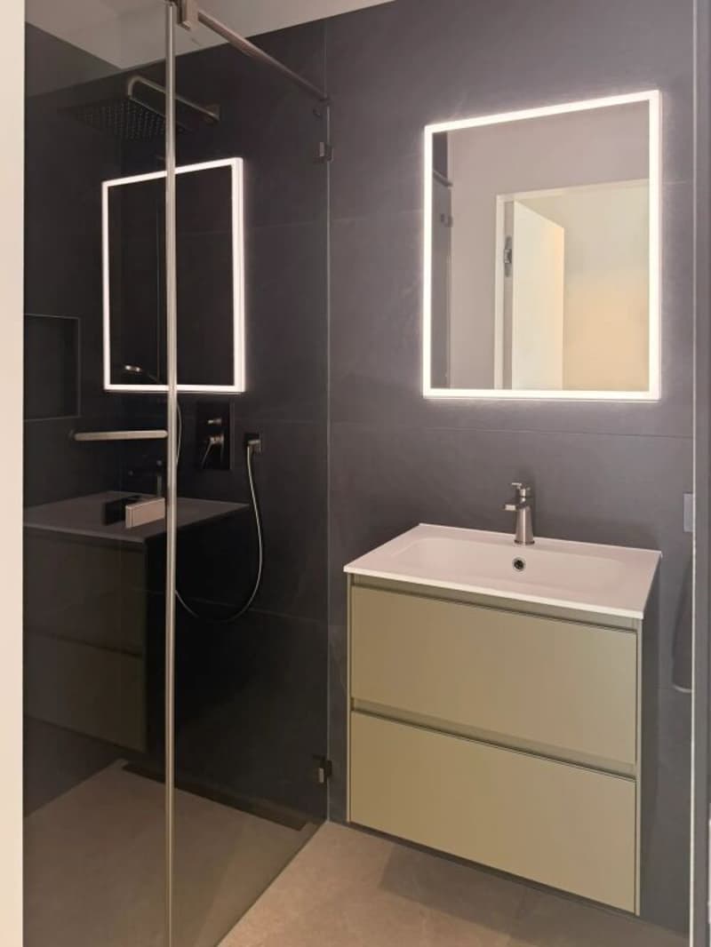Comfort e modernità in un elegante 3.5 locali - Minusio (9)