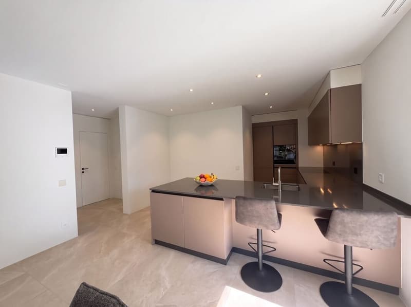 Comfort e modernità in un elegante 3.5 locali - Minusio (3)