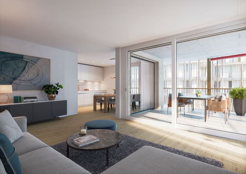 Moderne 2.5 Zi-Wohnungen mit grosszügiger gedeckter Terrasse (2)