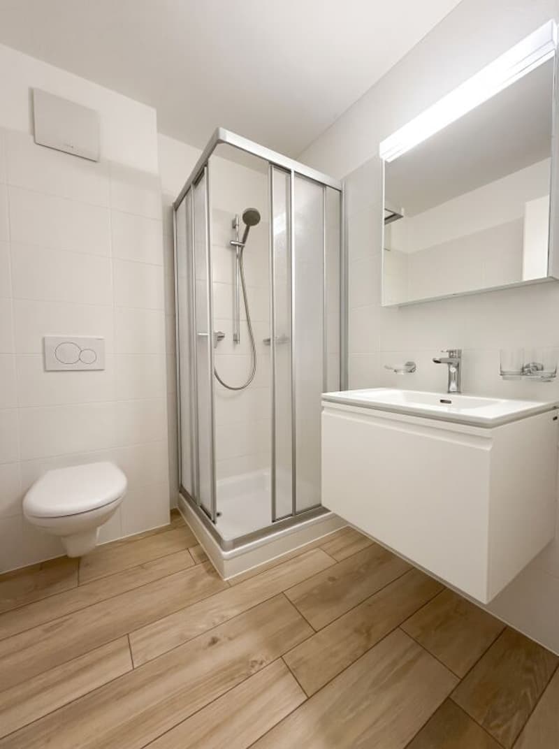 Zweitwohnsitz, 4½-Zimmer-Wohnung in der Nähe von Ascona (6)