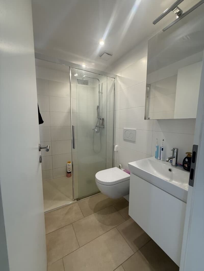 Moderno 3.5 locali ad Arbedo (6)