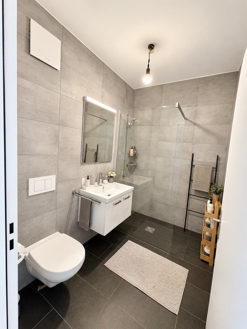 Moderne 4.5-Zimmer-Gartenwohnung im Erdgeschoss in Reinach AG (13)
