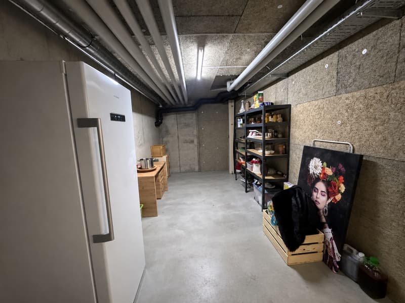Moderne 4.5-Zimmer-Gartenwohnung im Erdgeschoss in Reinach AG (16)