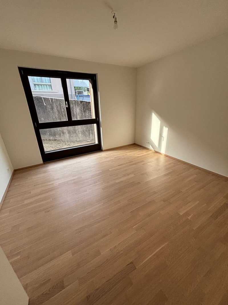 Appartement neuf de 5 pièces avec vue à Russin (3)