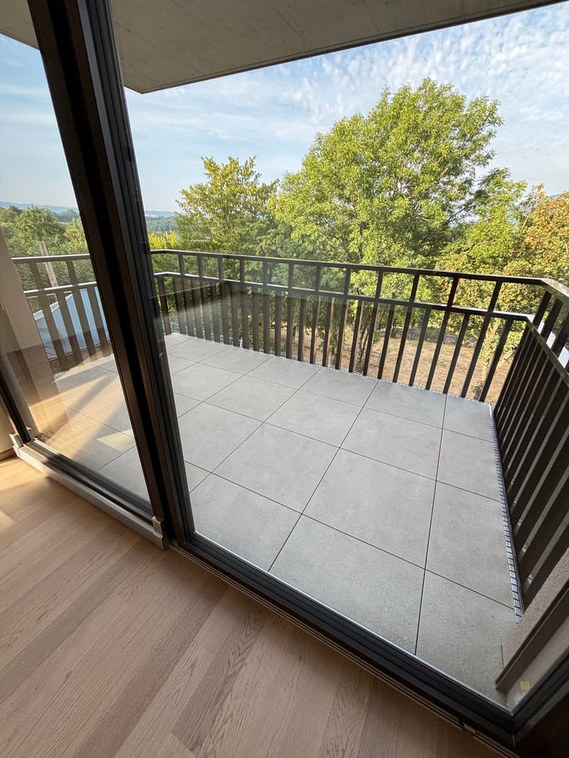 Appartement neuf de 5 pièces avec vue à Russin (4)