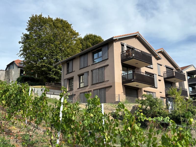 Appartement neuf de 5 pièces avec vue à Russin (6)