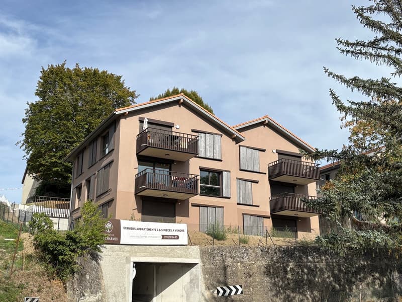 Appartement neuf de 5 pièces avec vue à Russin (1)