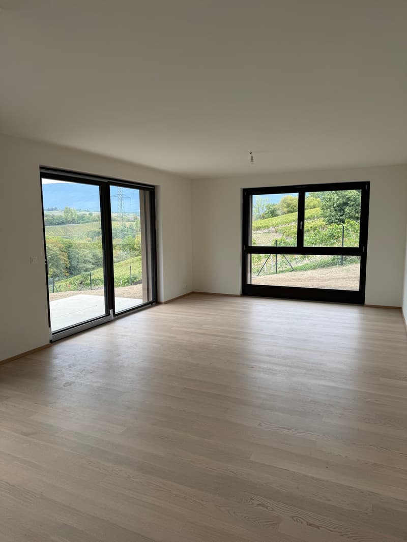 Appartements 4 pièces Rez de jardin à vendre à Russin (4)